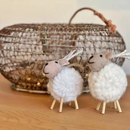 Au Travers Du Hublot